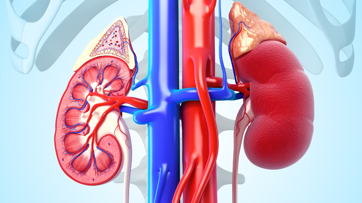 &Chi;&rho;ό&nu;&iota;&alpha; &Nu;&epsilon;&phi;&rho;&iota;&kappa;ή &Nu;ό&sigma;&omicron;&sigmaf;: &Eta; &sigma;&iota;&omega;&pi;&eta;&lambda;ή &epsilon;&pi;&iota;&delta;&eta;&mu;ί&alpha; &pi;&omicron;&upsilon; &alpha;&pi;&epsilon;&iota;&lambda;&epsilon;ί &tau;&omicron;&nu; &pi;&lambda;&alpha;&nu;ή&tau;&eta;